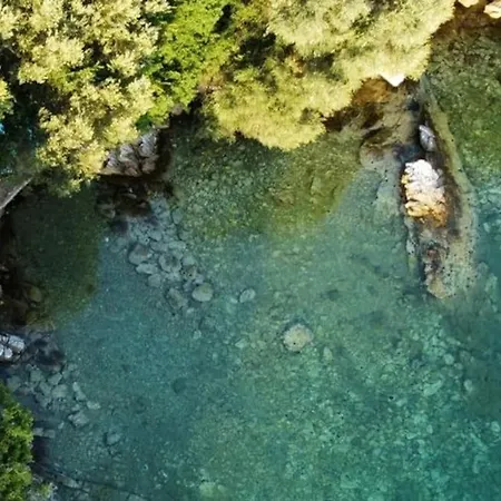 Dom wakacyjny Olive Tree Bay