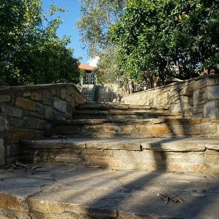 Dom wakacyjny Olive Tree Bay *