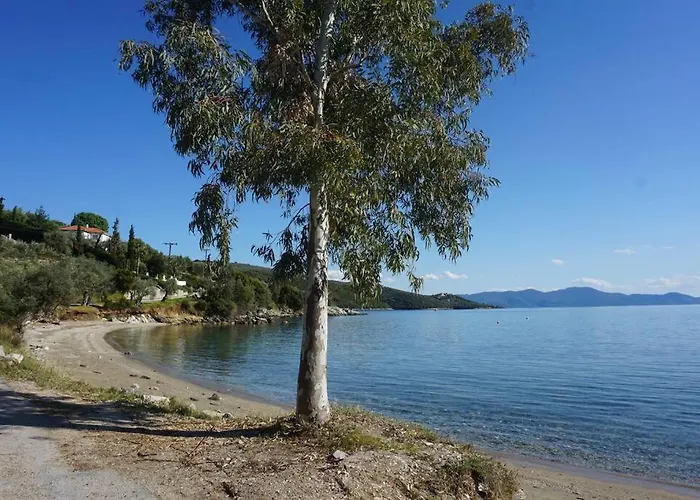 度假居 Olive Tree Bay *