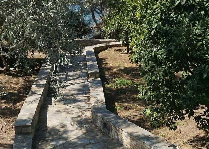 度假居 Olive Tree Bay