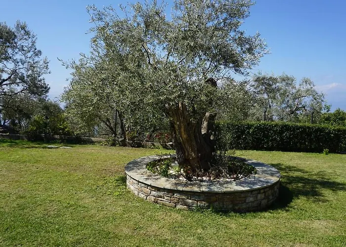 度假居 Olive Tree Bay